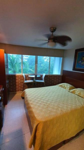 R.1101 Lindo estudio ejecutivo, privado y céntrico.